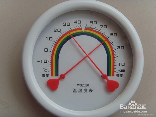 热带鱼养殖指南--教你养好热带鱼