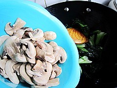 椒油口蘑小油菜