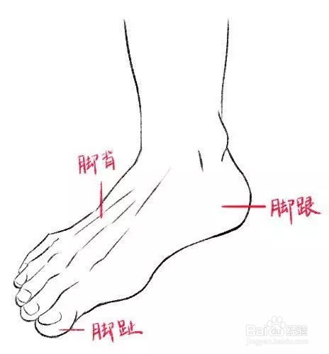 动漫人物的脚怎么画