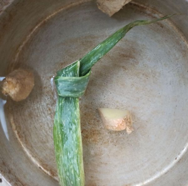 韭菜鲜贝柱肉饺子