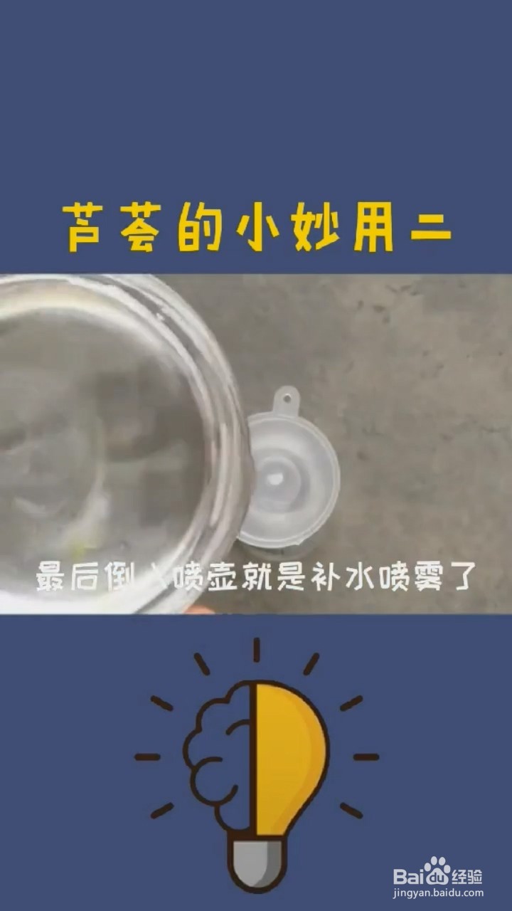 芦荟的小妙用