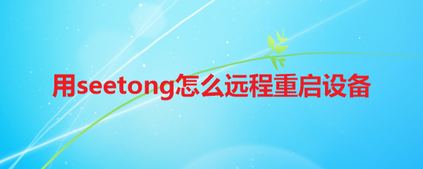 用seetong怎么远程重启设备