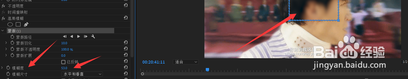 Premiere Pro 2020如何给视频局位马赛克