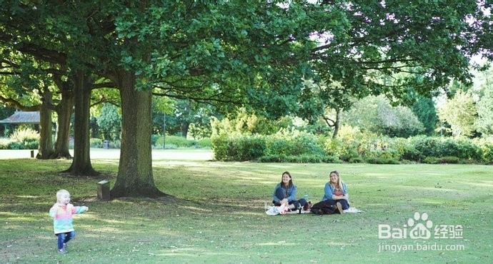 谢菲尔德旅游攻略