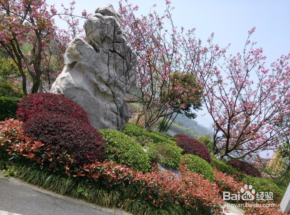 重庆——园博园之行