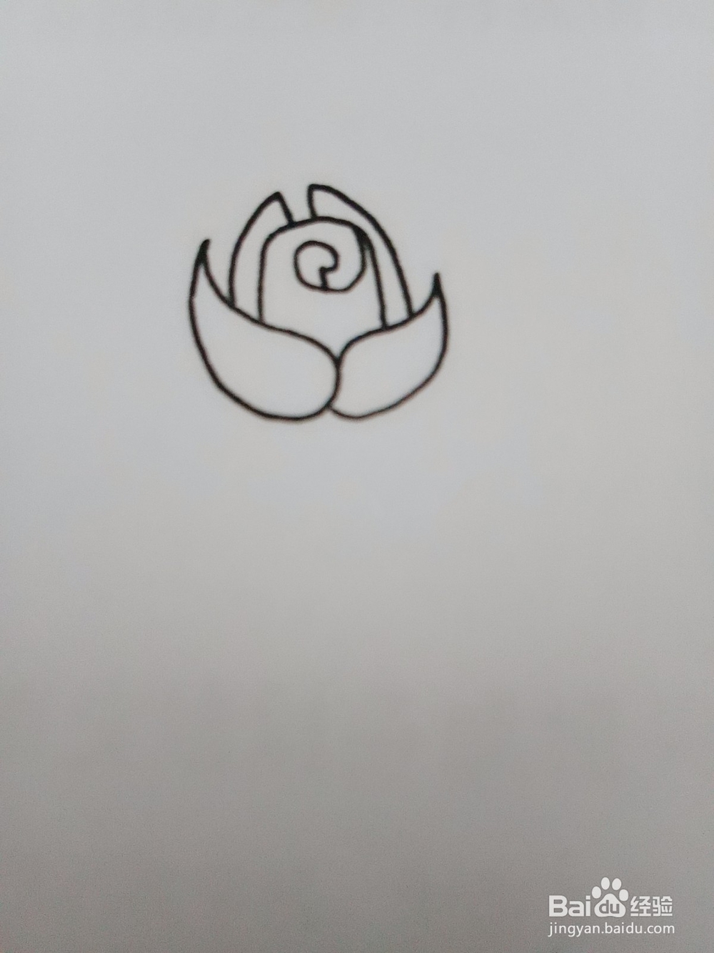 一支玫瑰花的简笔画怎么画