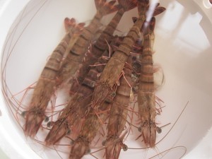 蒸汽海鲜制作过程