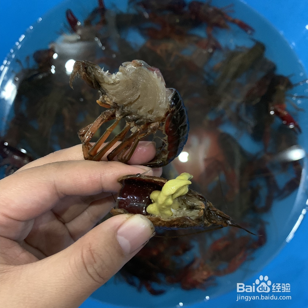 味美鲜香的蒜香小龙虾