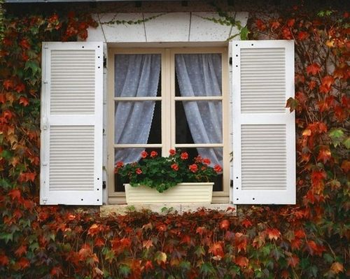 清除装修异味的方法