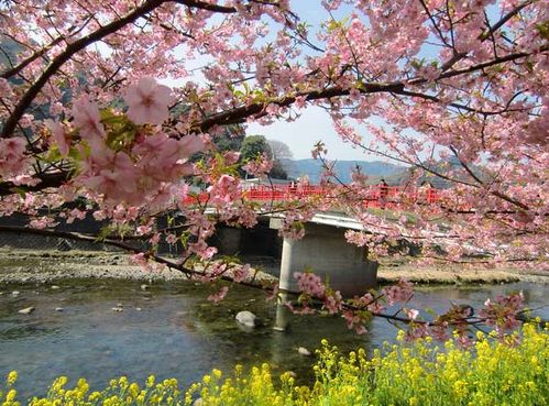 日本伊豆旅游指南