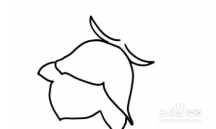 风铃草简笔画
