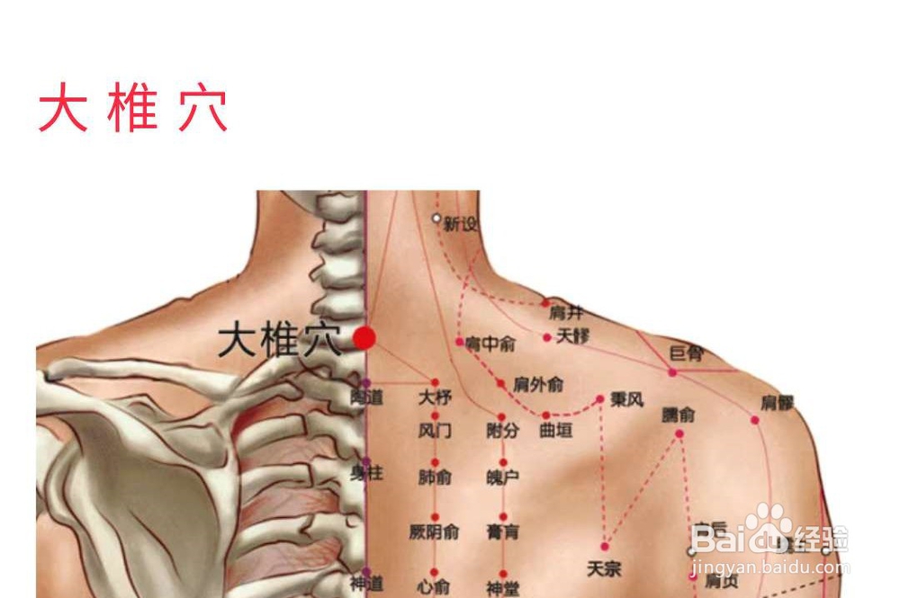 不感冒的方法