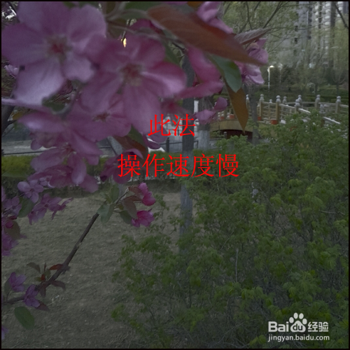 PS怎样改变图像显示大小的3种方法