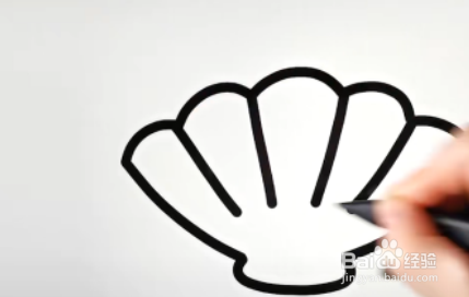 怎么画漂亮的扇贝