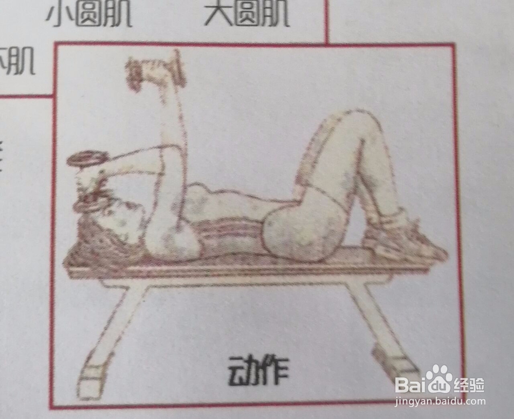 如何锻炼腕关节