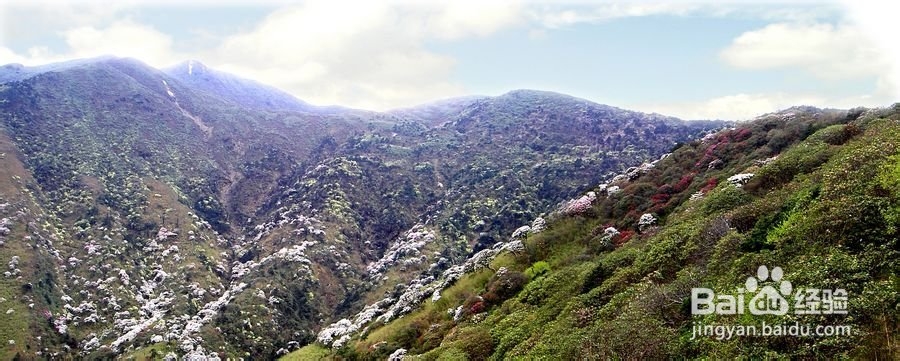 大理洱海边住宿！