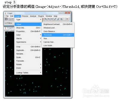 imageJ中文使用方法