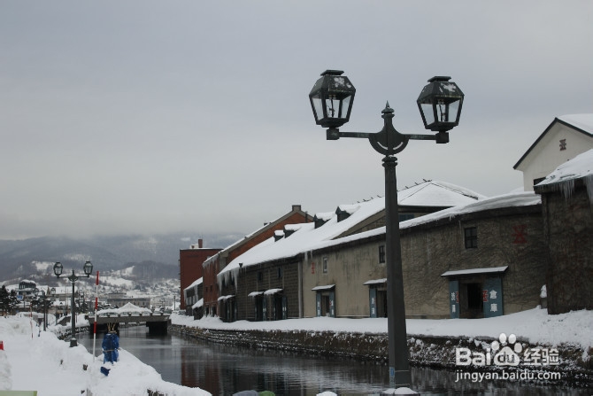 【日本】浪漫冬日 北海道の旅途（三）