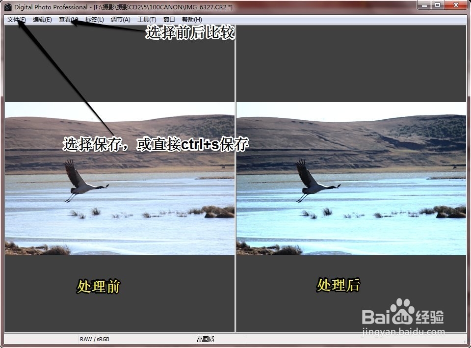 如何使用DPP软件处理cr2图片