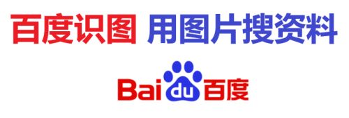 百度试图=百度识图网页版入口