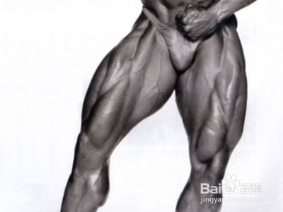 如何锻炼肌肉