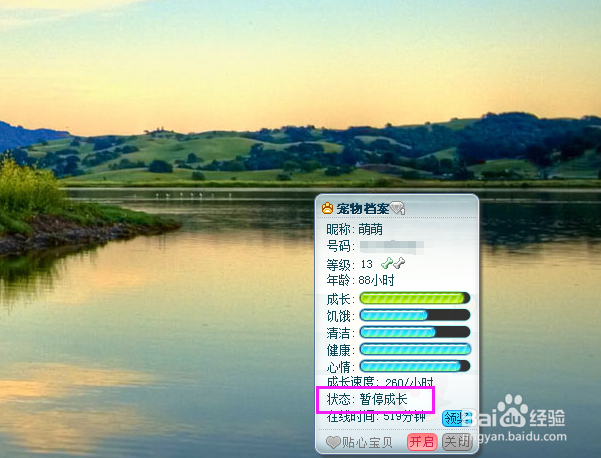 如何让Q宠暂停成长？