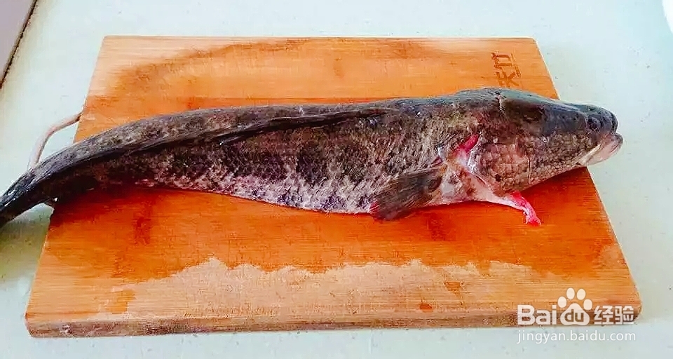 怎么简单的做麻辣水煮鱼?