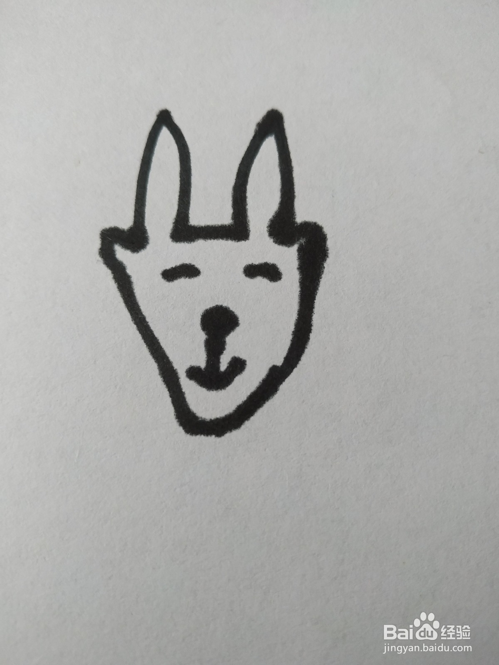 藏羚羊简笔画怎么画？怎么画藏羚羊的呢？