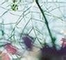 考公务员不得不知的问题12