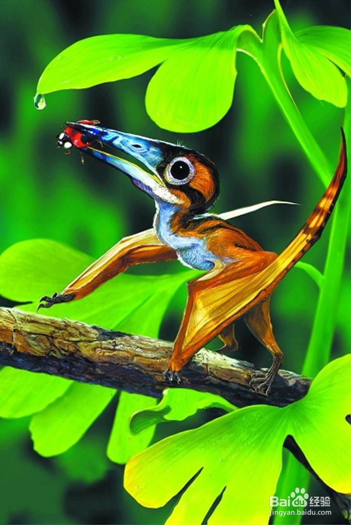 白垩纪天上飞的生物多大？