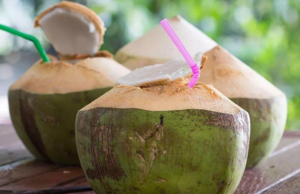 椰子上火还是降火