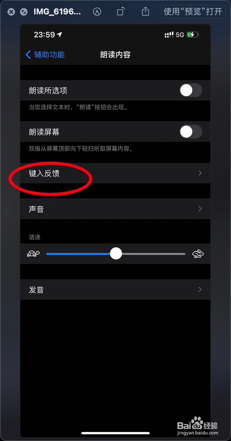 iPhone12朗读词语怎么打开的呢