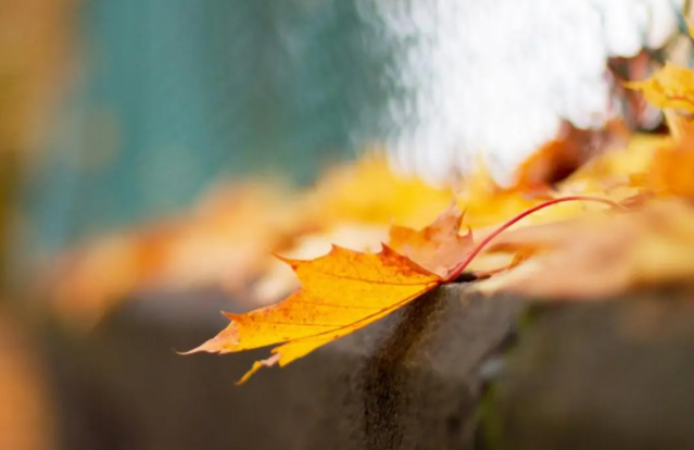 唯美惊艳的开头结尾有哪些