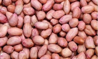 只有肠健康才能人长寿