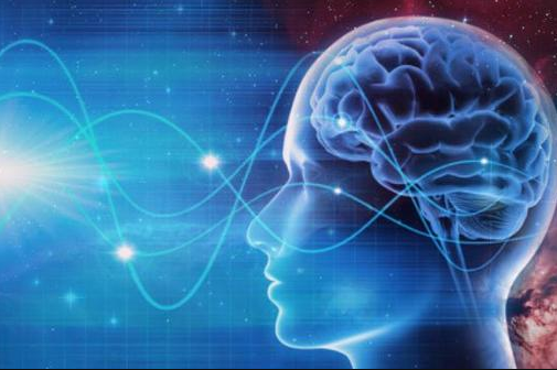 爱因斯坦大脑开发百分之多少