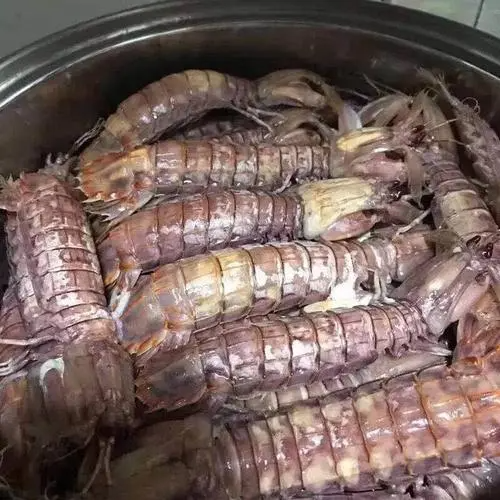 皮皮虾冻一晚上肉会缩嘛