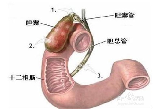你体内垃圾超标了吗？7个信号说明问题！