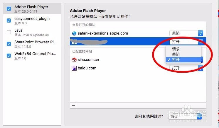苹果系统上的safari浏览器设置允许flashplayer