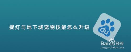 提灯与地下城宠物技能怎么升级