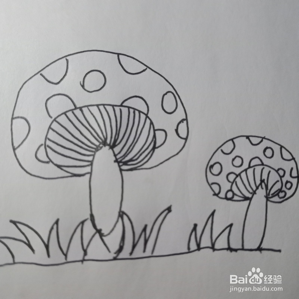 简笔画—简单画蘑菇