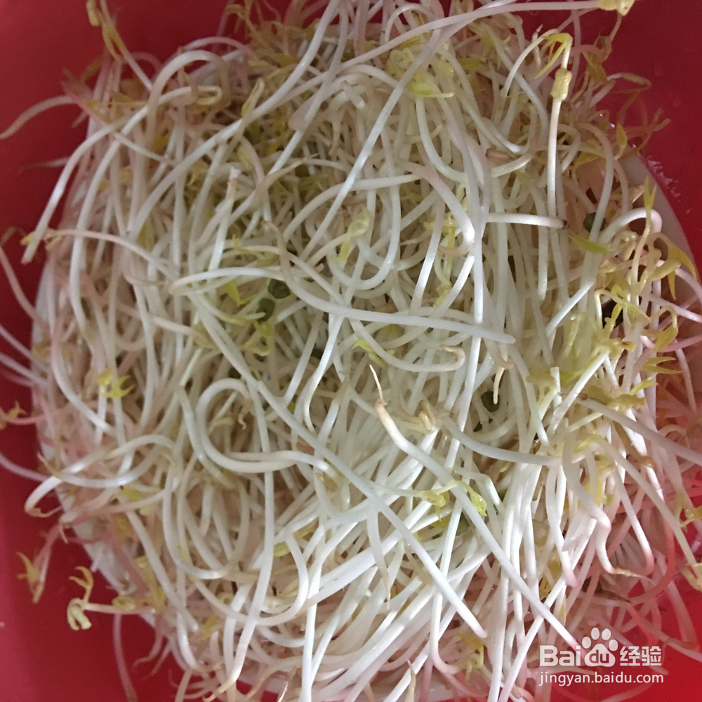 秋高气爽，来一碗豆芽汤润润燥！