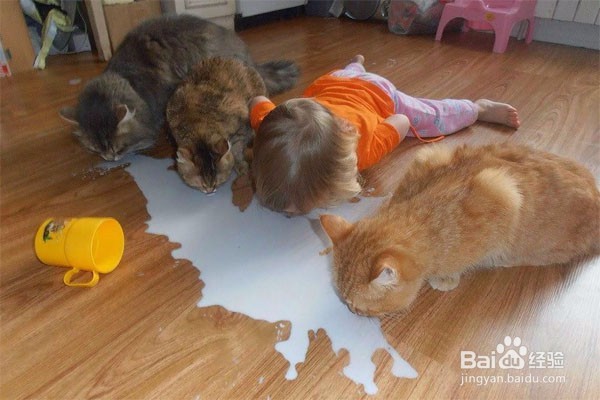 遇到熊孩子怎么办 如何对付熊孩子