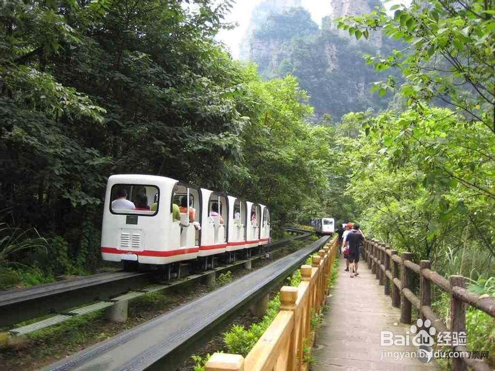 广州到张家界自驾游