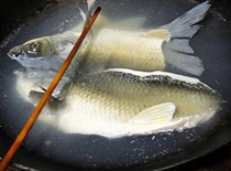 西湖醋鱼，特色美食！