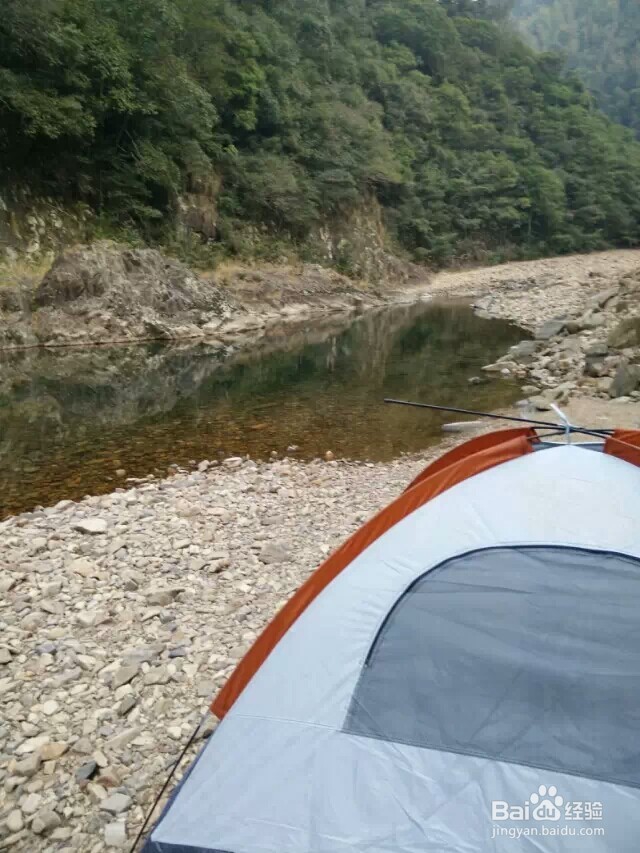 江西省马头山原始森林指南