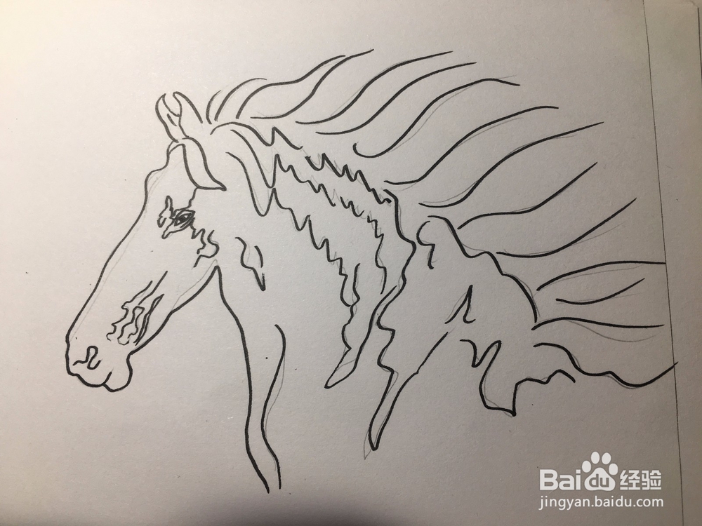 马的简笔画 马的抽象线描画