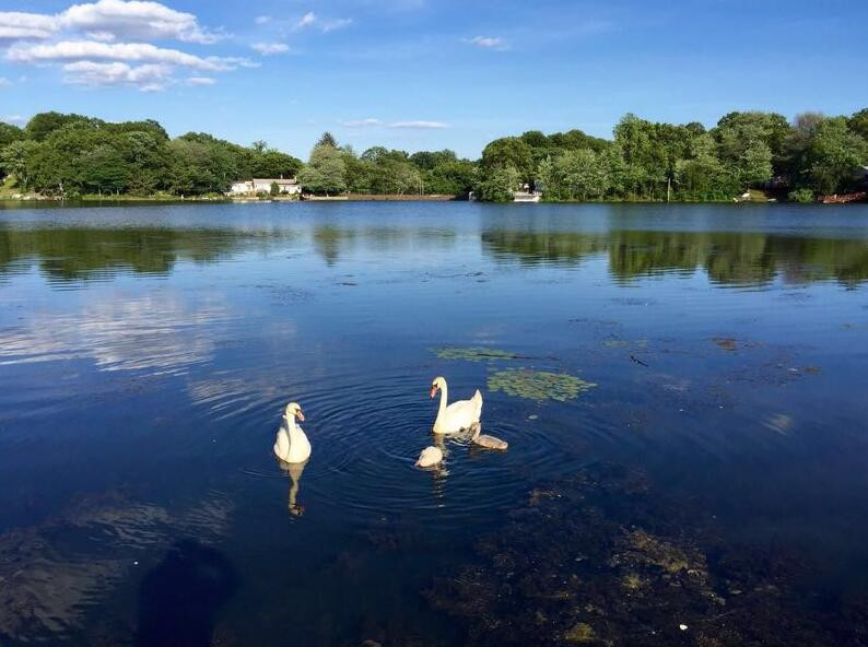 如何回答别人问你都去过哪些地方