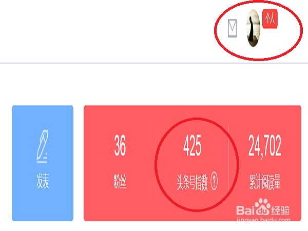 今日头条收益怎么样