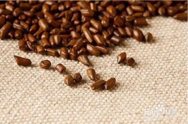 宝宝吃什么可以改善便秘呢？