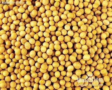 不宜与猪肉同食的食物